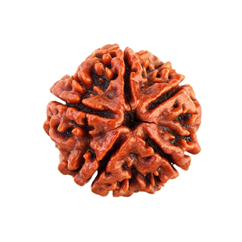 Karm Kand Expert in Ahmedabad