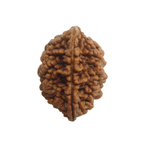 Best Vedic Astrologer in Dubai